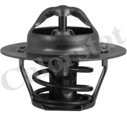 CALORSTAT by Vernet Термостат