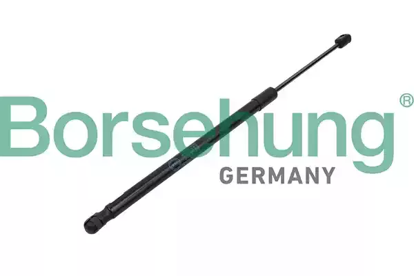 Borsehung Газовая пружина