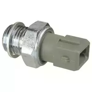 DELPHI Переключатель